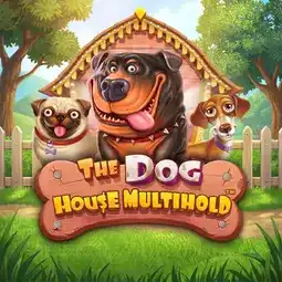 The Dog House Multihold gra w GameSpot Casino dla graczy w Polsce The Dog House Multihold gra w GameSpot Casino dla graczy w Polsce
